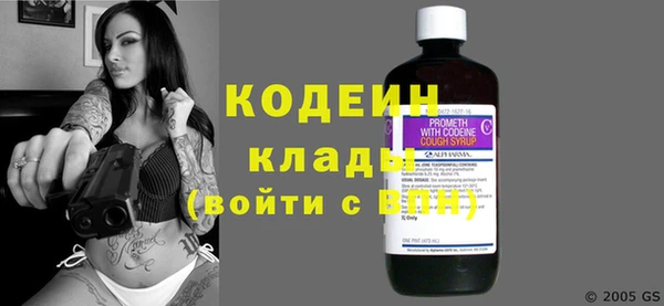 шишки Верея