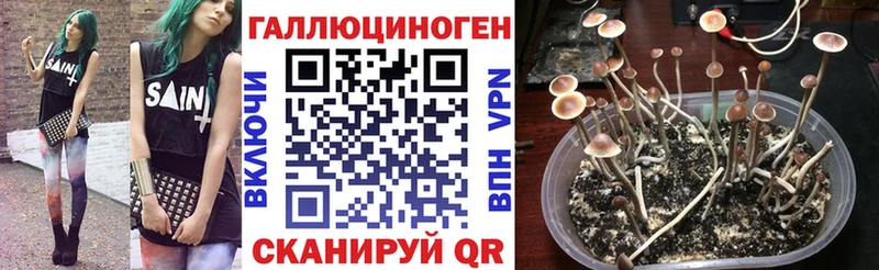 продажа наркотиков  даркнет как зайти  Галлюциногенные грибы мицелий  Вольск 